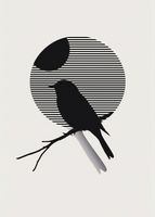 Plakat 39,5x55cm Kontrast Smukłości