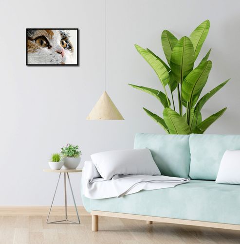 Plakat 42x29,7cm Nitkowany Kot na Arena.pl