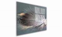 product-compare-60742163