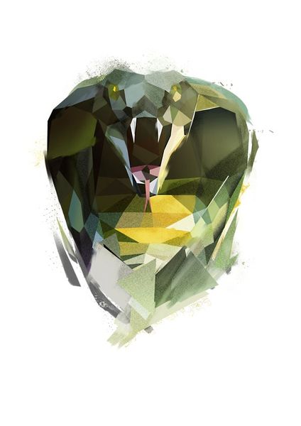 Kobra - plakat 40x50 cm zdjęcie 1