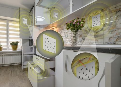 SILNA PUŁAPKA LEPOWA ŚRODEK LEP NA MOLE SPOŻYWCZE KUCHENNE (10 SZT) NO PEST na Arena.pl