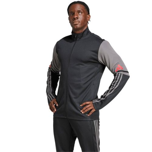 Bluza adidas Squadra 25 Training M JD1630 S na Arena.pl