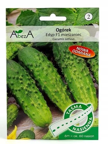 ZESTAW 2240 Sprawdzonych Nasion Warzyw na taśmie na Arena.pl