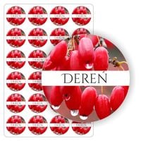 NAKLEJKI owoc derenia samoprzylepne kolorowe DEREŃ słoiki sok 5cm