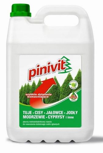 PINIVIT 5L NAWÓZ DO IGLAKÓW TUJE CISY CYPRYSY na Arena.pl