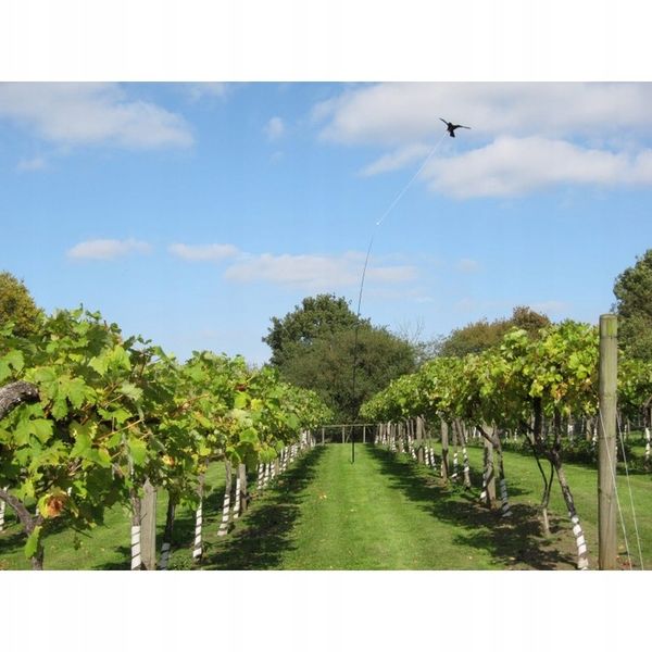 Odstraszacz Szpaków Gołębi Kruk Ptaków Latawiec CH1 z masztem 6 metrów zdjęcie 10