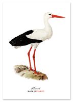 Plakat polski bocian vintage 21x29,7 cm A4
