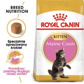ROYAL CANIN Maine Coon Kitten 10kg