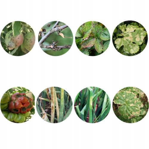 Nordox 75WG MIEDZ 1kg ŚRODEK GRZYBOBÓJCZY choroby grzybowe PARCH MĄCZNIAK na Arena.pl