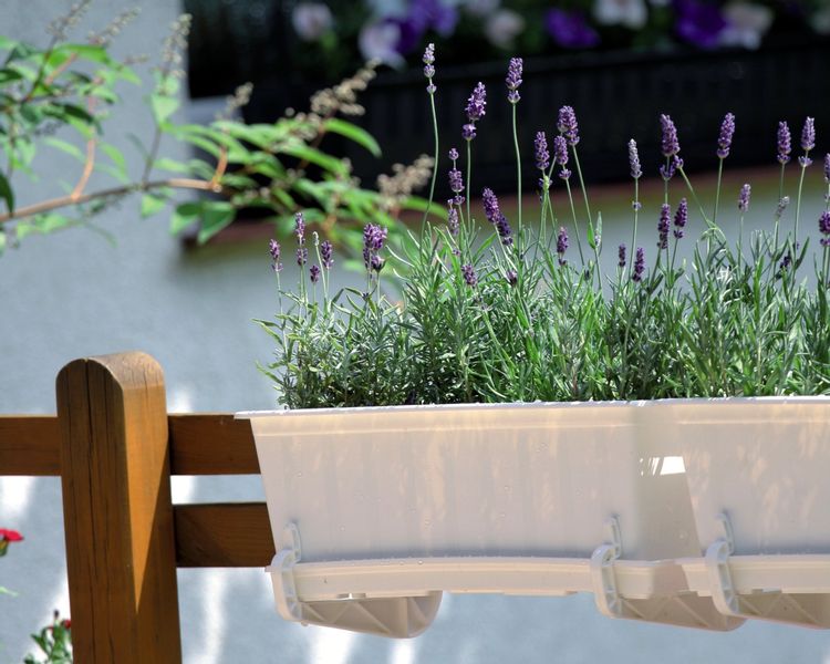 Uchwyt balkonowy HANGPLAST do doniczek Skrzynek zdjęcie 5