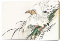 Obraz 100x70cm Albatross, Kashu Japoński Vintage do Salonu