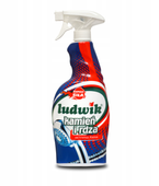 LUDWIK Płyn do czyszczenia kamienia i rdzy 750 ml