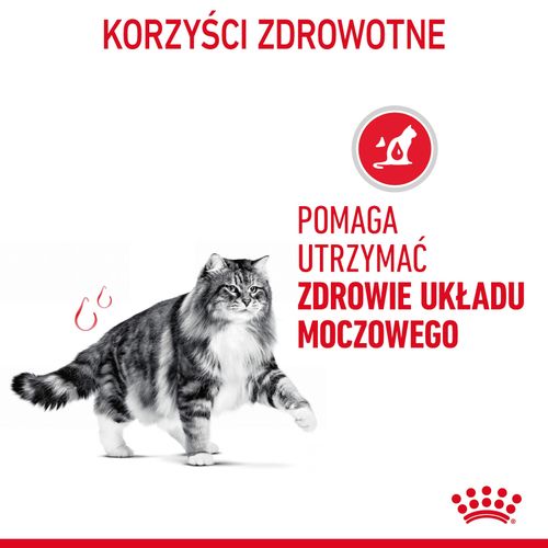 royal canin urinary care 2kg na Arena.pl