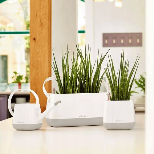 Konewka do podlewania YULA LECHUZA 1,7 l kolor BIAŁY-TAUPE na Arena.pl