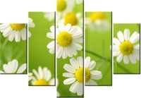 105CM 150CM OBRAZ 5 ELEM RUMIANEK DRUK