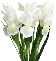 IRYS BUKIET BIAŁY 7 SZT sztuczne kwiaty irysy