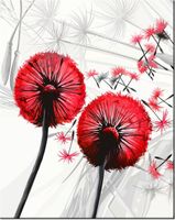 product-compare-58645592