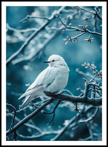 Plakat 64x90cm Perłowy Ptak na Arena.pl