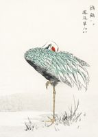 Plakat 50x70cm White-naped Crane, Kashu Vintage do Salonu