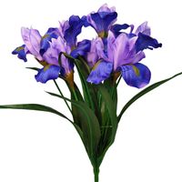 Bukiet irys fioletowo niebieski