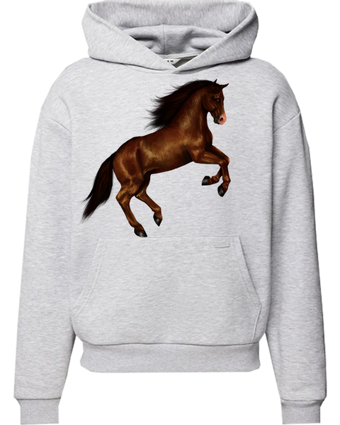 Bluza z kapturem Konie zdjęcie 1