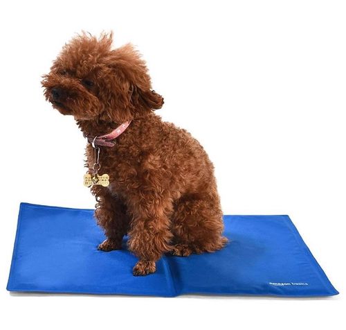 Mata Chłodząca Dla Psów Kotów 40X50Cm na Arena.pl