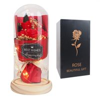 bukiet kwiatów w szklanej kopule, róże na prezent, świecące led roz19