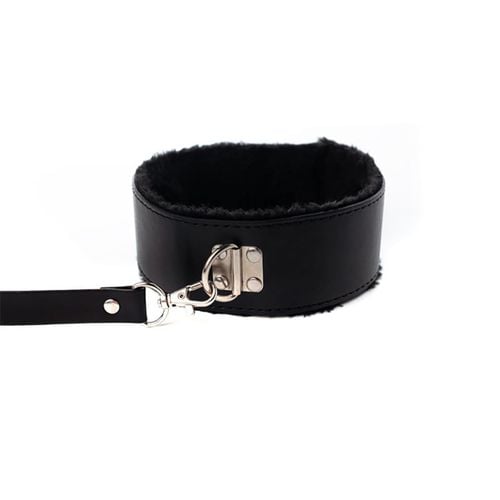 collar with detachable leash na Arena.pl