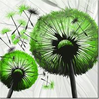 40CM 40CM OBRAZEK LIMONKOWE DMUCHAWCE DRUK PŁÓTNO OBRAZ