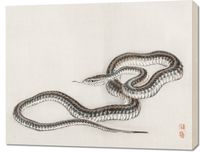 Obraz 90x70cm Snake, Kōno Bairei