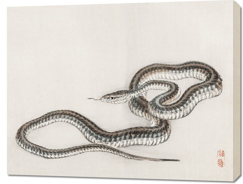 Obraz 90x70cm Snake, Kōno Bairei zdjęcie 1