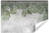 Fototapeta LIŚCIE Monstery Beton Mur Abstrakcja Efekt 3D 90cm x 60cm