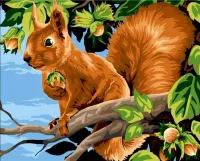 product-compare-61988681