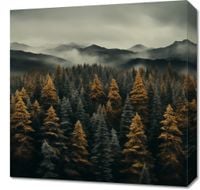 Obraz 50x50cm Mglisty Poranek