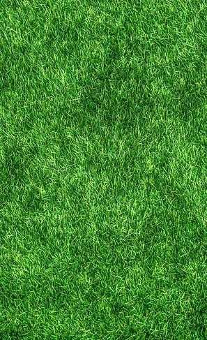 inco florovit trawa 5kg uniw. na Arena.pl