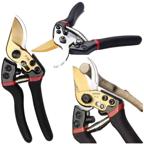 Sekator ogrodowy do cięcia gałęzi krzewów krzaków ostry poręczny na Arena.pl