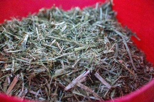 Sieczka Hartog Lucerne Mix 18 kg sieczka dla koni z lucerny na Arena.pl