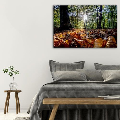 Deco Panel, Jesienne liście w słońcu 90x60 na Arena.pl