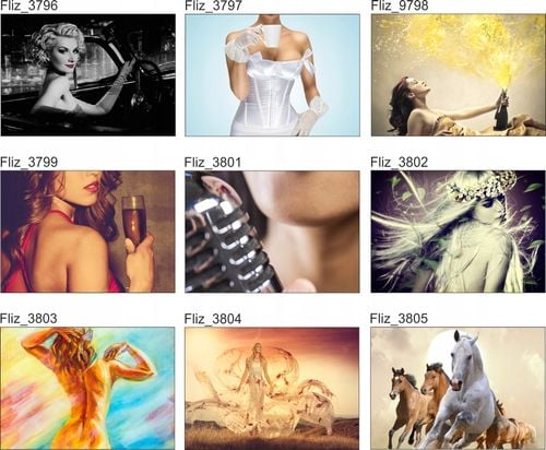 FOTOTAPETA CZARNO-BIAŁA KWIATY DMUCHAWCE na Arena.pl