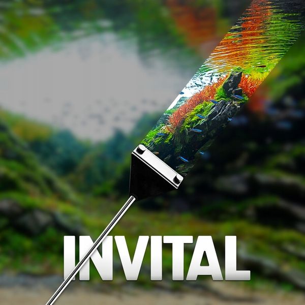 INVITAL Algae Scraper Pro zdjęcie 7