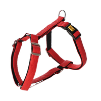 Szelki dwupaskowe Guard Terra Fire, rozm. S