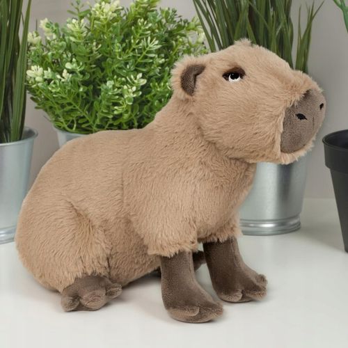 Pluszak Kapibara FANCY Maskotka Kapibara na Arena.pl