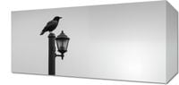 Obraz 40x20cm Samotny Postój Kruka