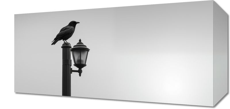 Obraz 40x20cm Samotny Postój Kruka zdjęcie 1