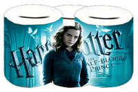 Skarbonka Harry Potter