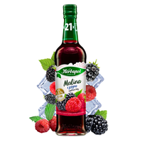 Herbapol Suplement diety syrop o smaku malinowo-jeżynowym 420 ml