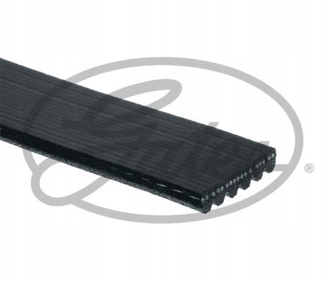PASEK W/KLINOWY 6PK2175 GATES na Arena.pl
