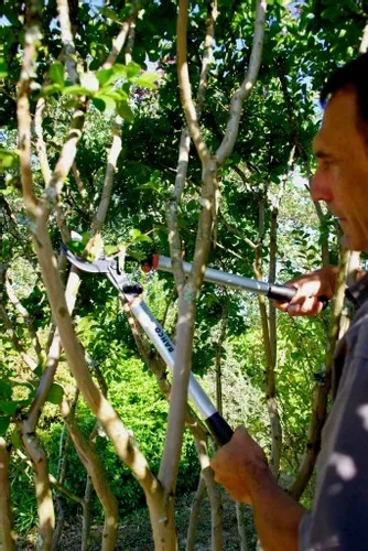 sekator do gałęzi 800mm Bahco P280-SL-80 na Arena.pl