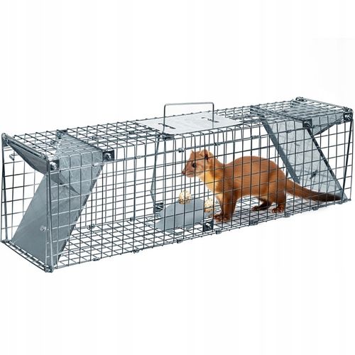 GIGANT ŻYWOŁAPKA NA KUNY SZCZURY WYDRY ŁASICE LIS PUŁAPKA ŁAPKA na Arena.pl