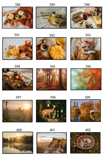 PLAKATY 50x70 JESIENNE obrazy DUŻO WZORÓW do salonu sypialni eviero na Arena.pl